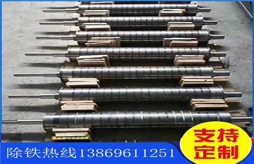 浙江永磁辊式登录入口